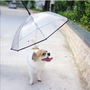 Doggy umbrella